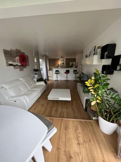 Appartement 55 M2 Le Chesnay Le Chesnay  Eksteriør billede