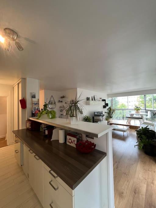 Appartement 55 M2 Le Chesnay Le Chesnay  Eksteriør billede